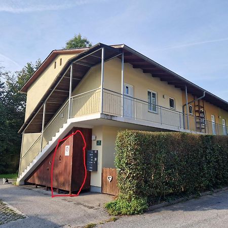 Erholung Pur Nahe Krankenhaus & Uni Mit Parkplatz! Leilighet Graz Eksteriør bilde